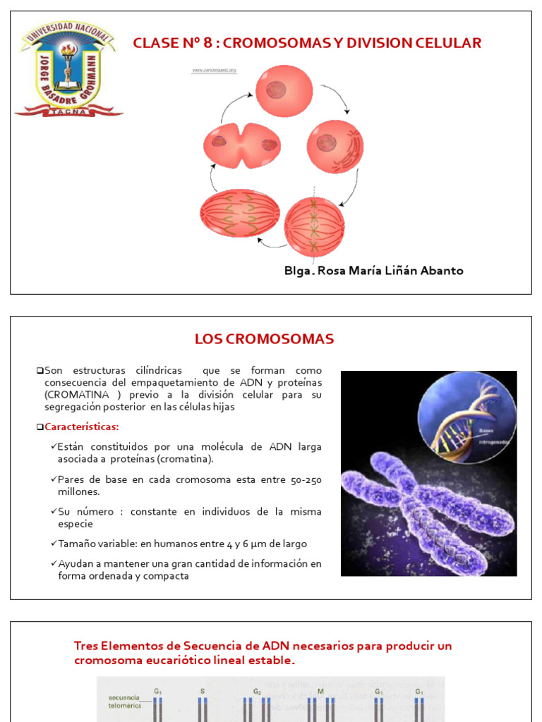 Clase #8 Biol Gen | PDF | Cromosoma | Adn