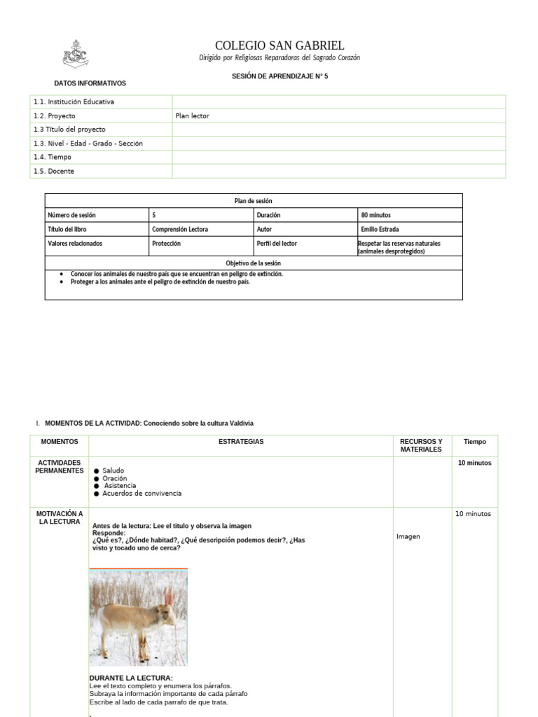 Sesión N.5 Plan Lector | PDF | Salón de clases | Aprendizaje