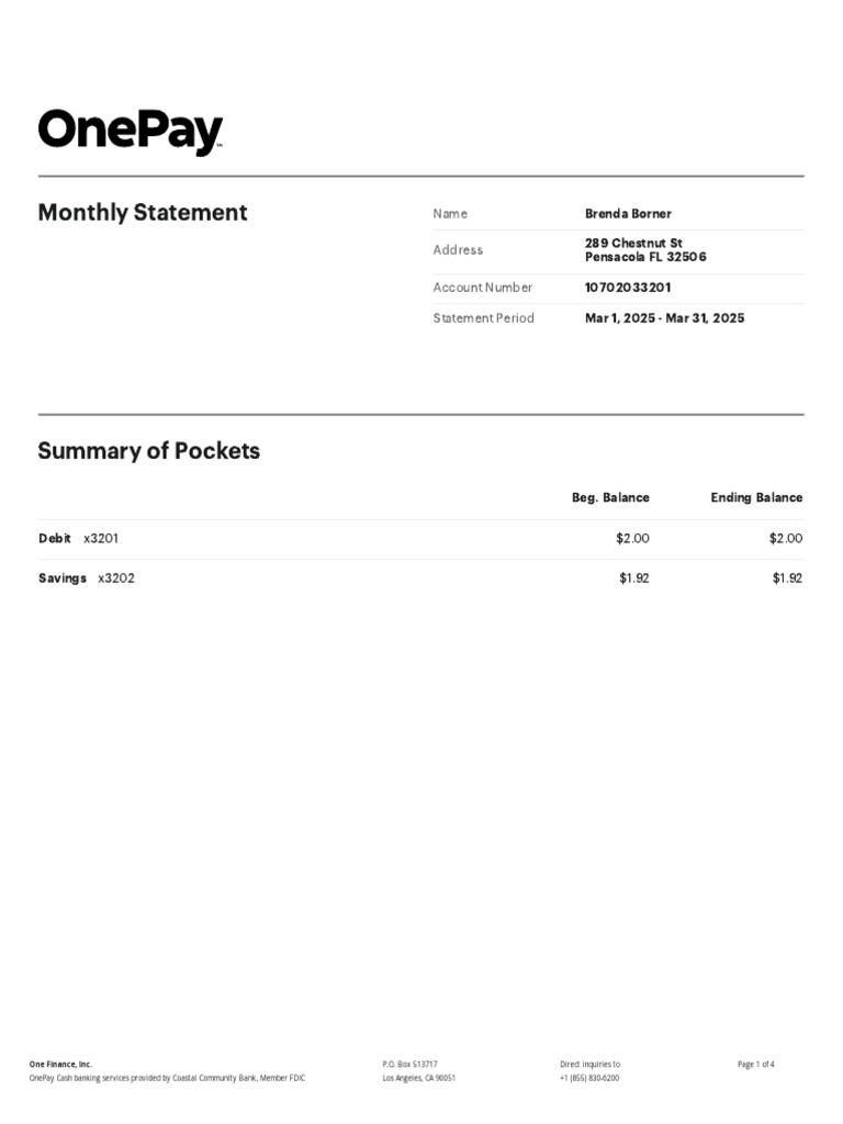 OnePay Monthly Statement - March 2025 | PDF | Banks | Debits And Credits
