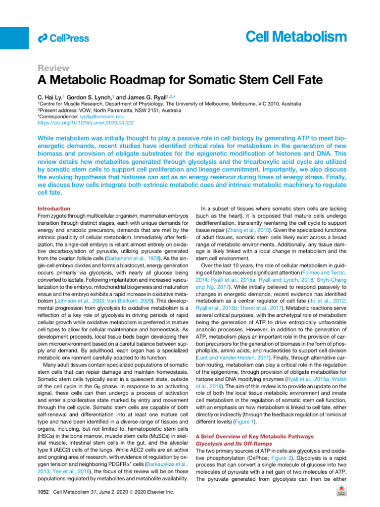 Metabolic Regulation of Stem Cell Fate | PDF | Histone | Diet & Nutrition