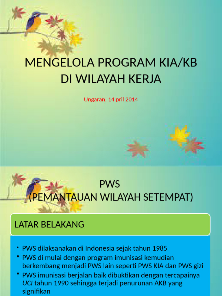 Pws Dinas | PDF