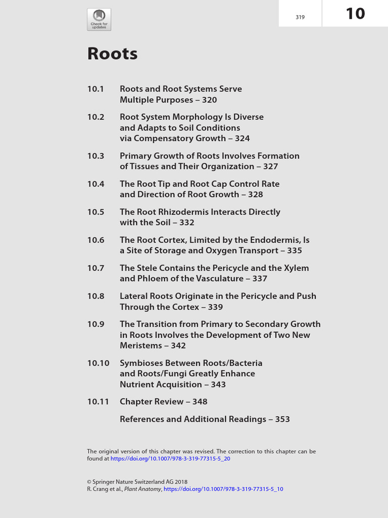 Root Cap: Friction Protection in Roots | PDF | Root | Plant Stem
