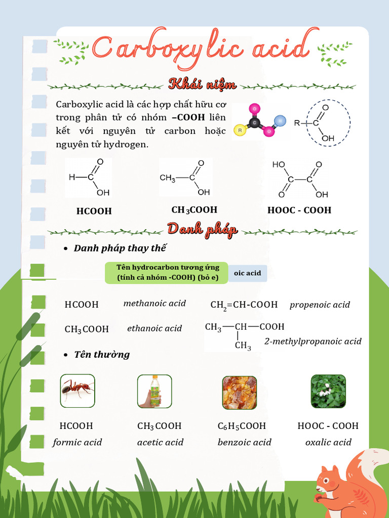 Bài 11. TH Carboxylic Acid | PDF