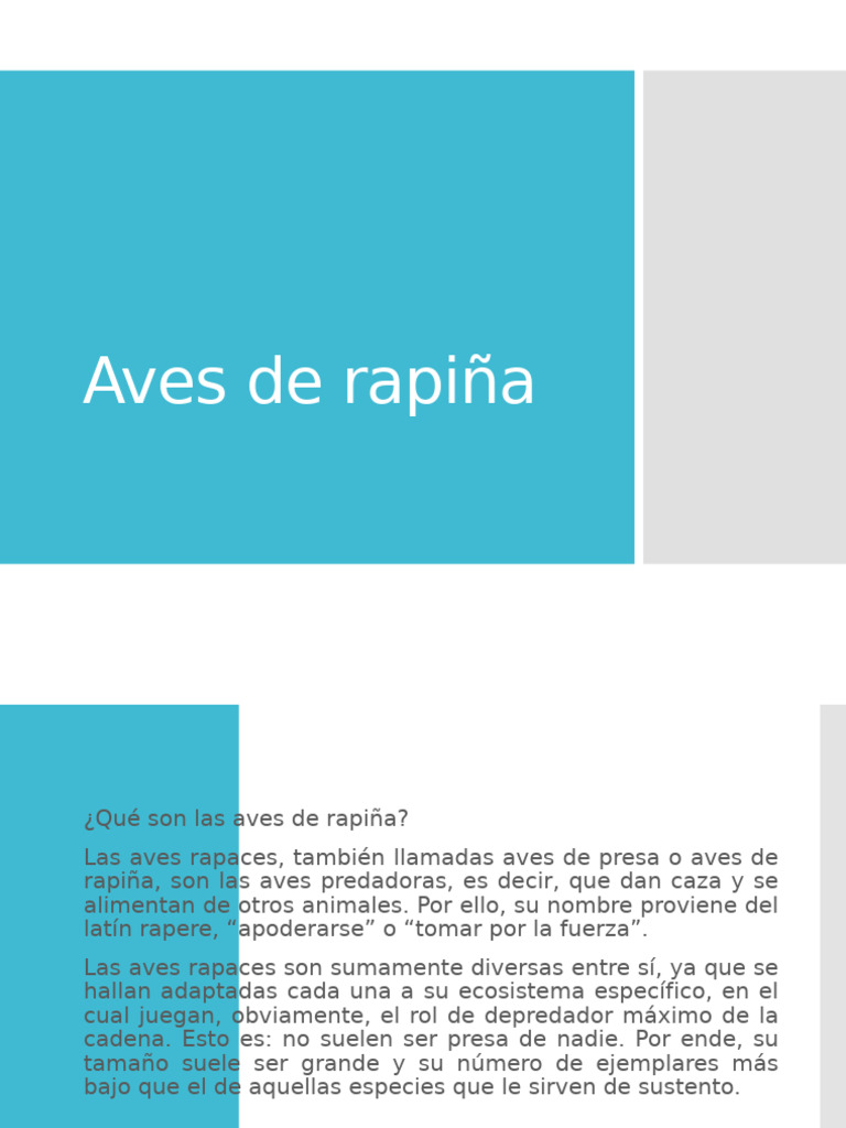 Características y tipos de aves de rapiña | PDF