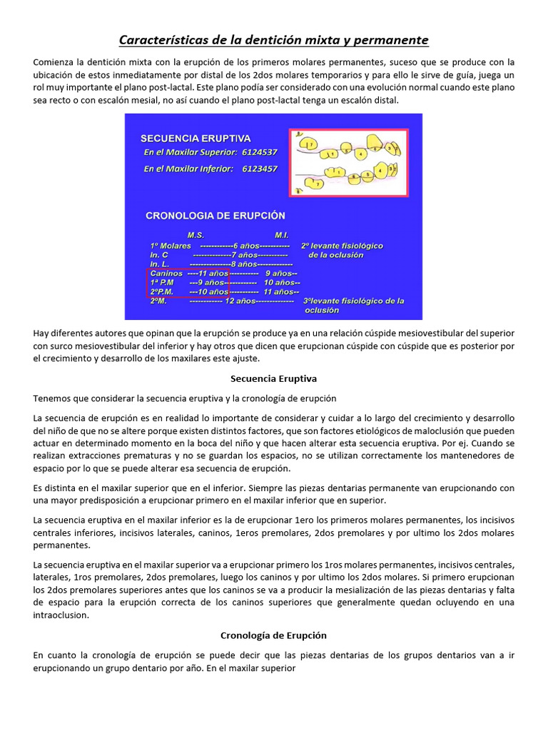 Características de La Dentición Mixta y Permanente | PDF | Anatomia ...