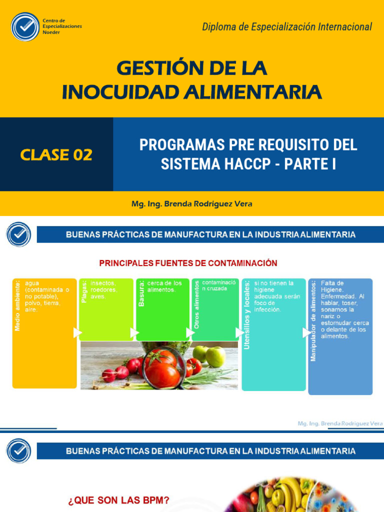 Gestión de Inocuidad Alimentaria Noeder | PDF