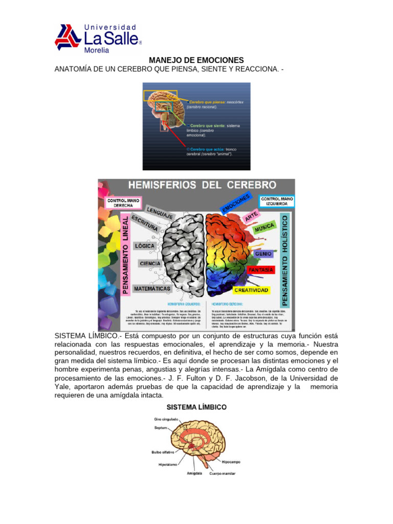 Manejo de Emociones | PDF | Las emociones | Ansiedad