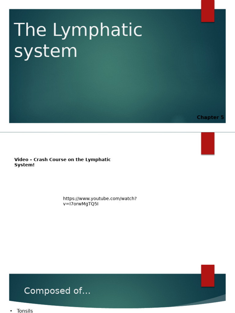 Ch.+5+Lymph+Updated+2024 3 | PDF | Lymphatic System | Immune System