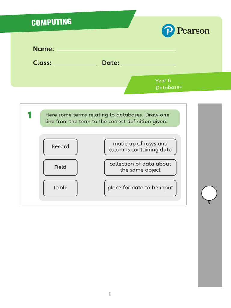 Database Basics for Year 6 Students | PDF | Databases | Spreadsheet