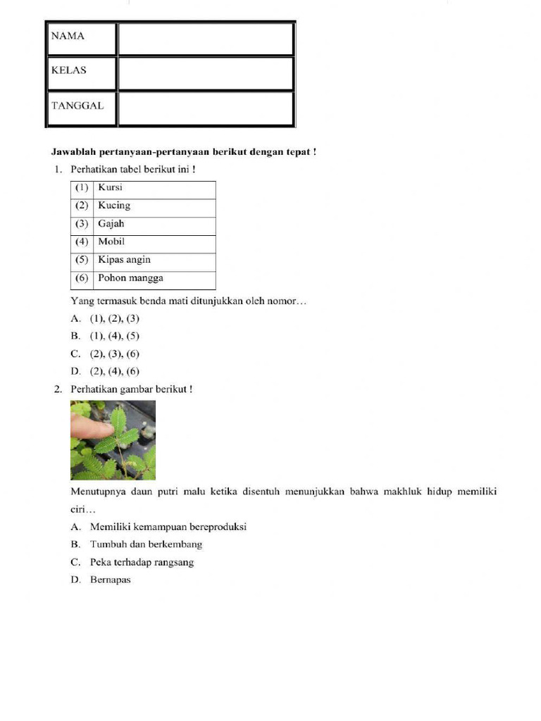 Sumha Ipa 7 | PDF