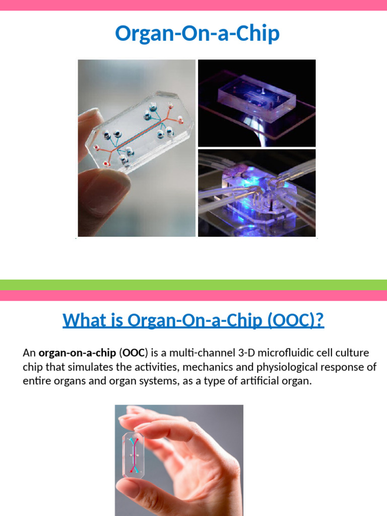 Aline Recirculating Pump in OOC Systems | PDF | Microfluidics ...