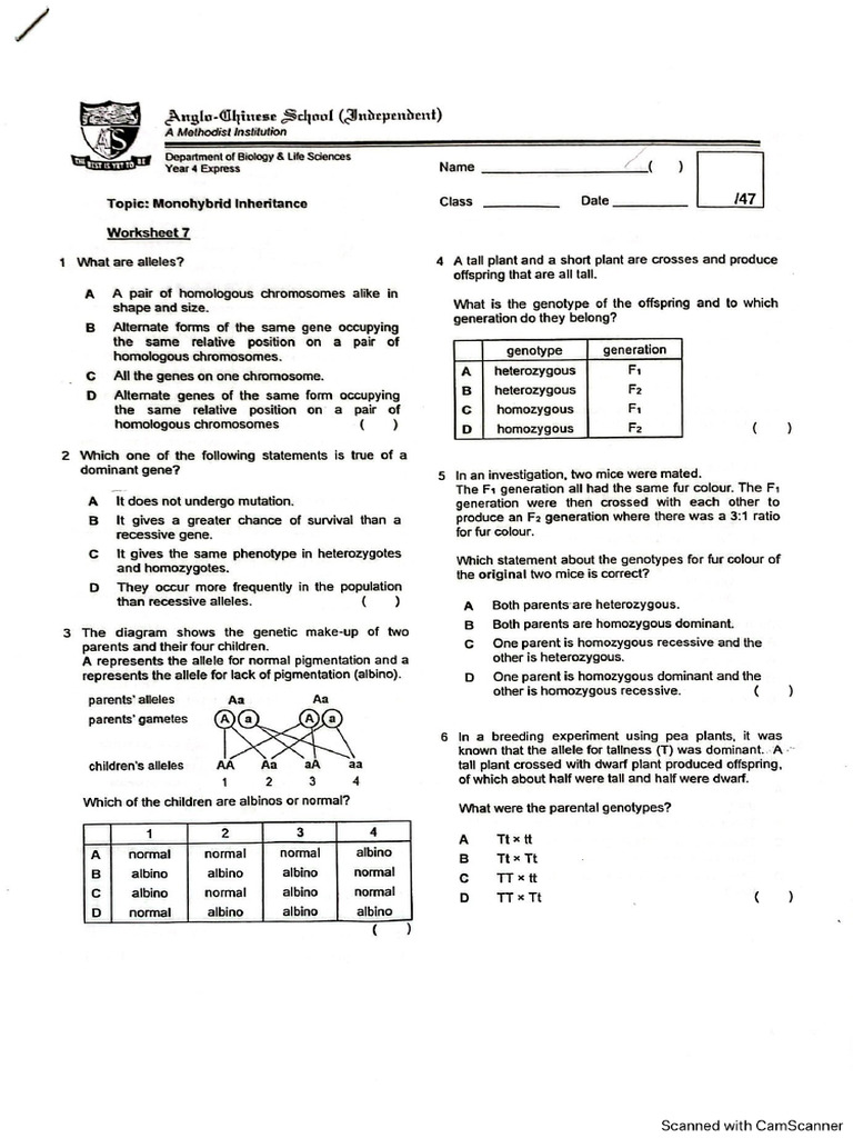 Bio Ws 7 | PDF