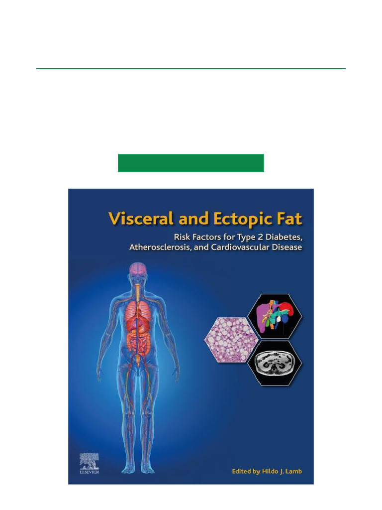Visceral Fat and Diabetes Risk Factors | PDF | Adipose Tissue | Obesity