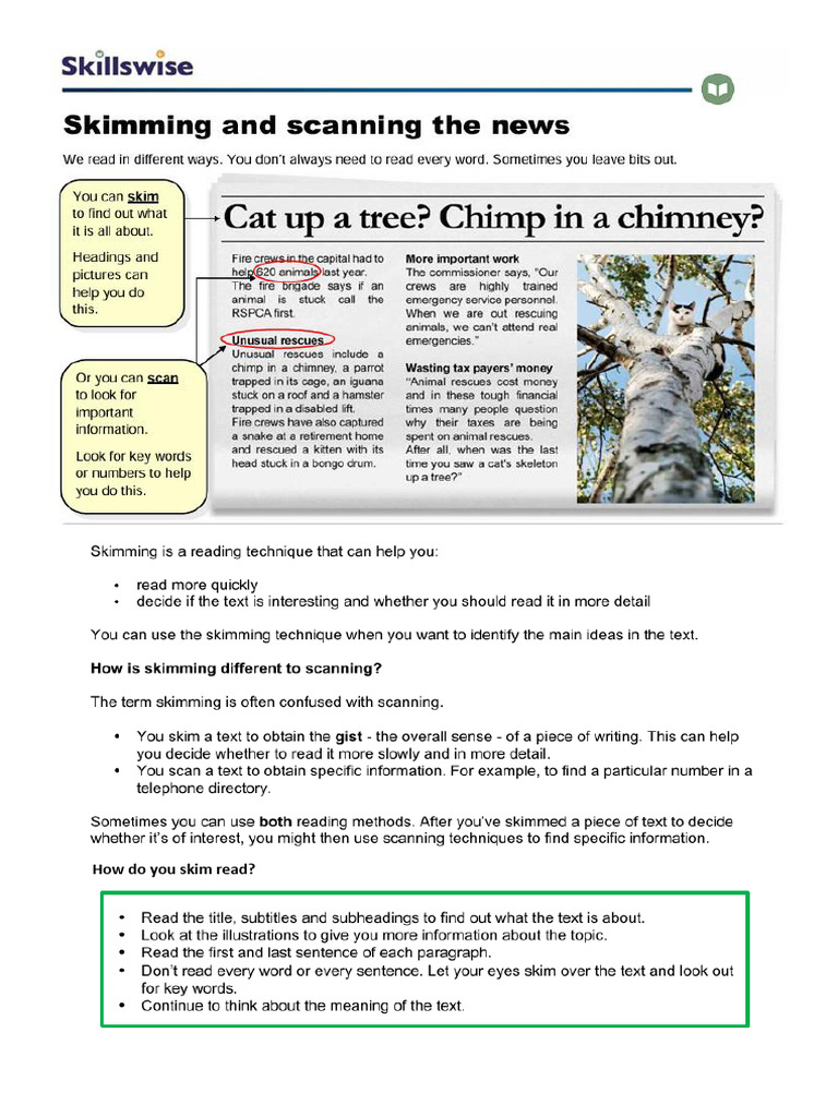 Skimming and Scanning Techniques Guide | PDF