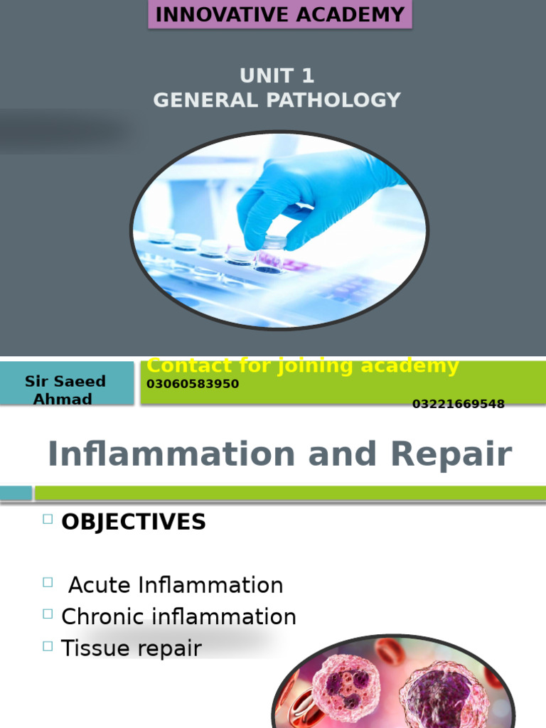 CH 2 PATHOLOGY... Inflammation and Repair | PDF | Inflammation | Wound ...