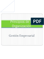 Principios de La Organización Corregido1