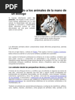 ANIMALES Y SU TIEMPO DE GESTACIóN