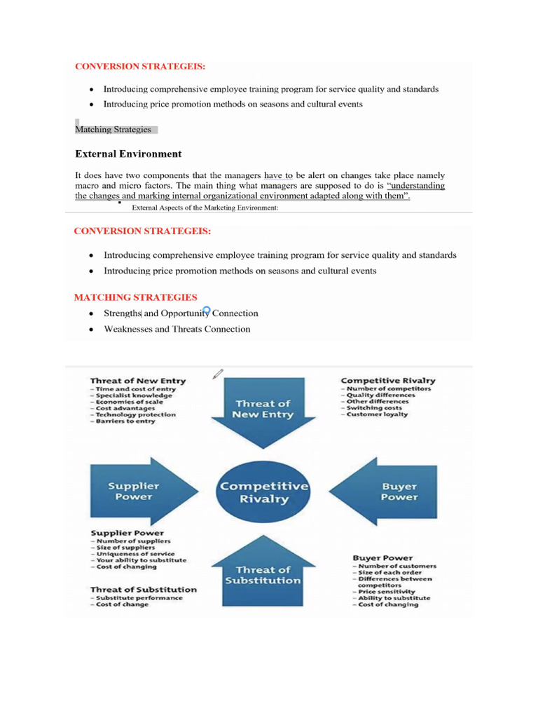 Competitive Rivalry | PDF