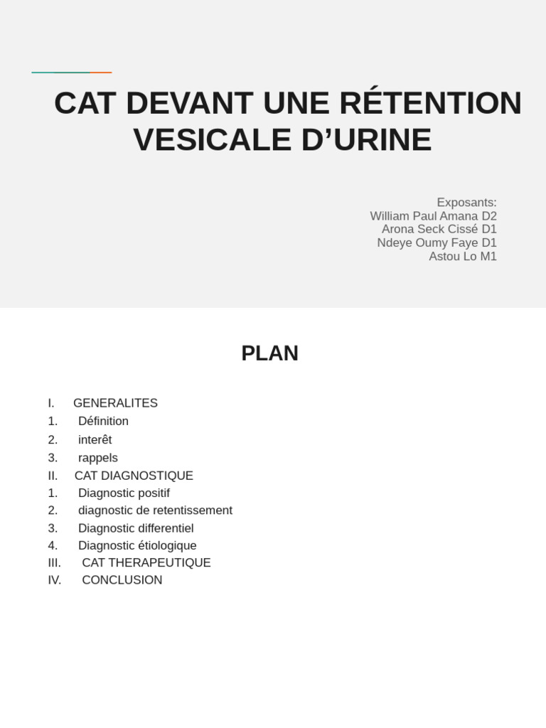 Fresh Look at Cat Sur La Retention D Urine Derniere Modification Pdf