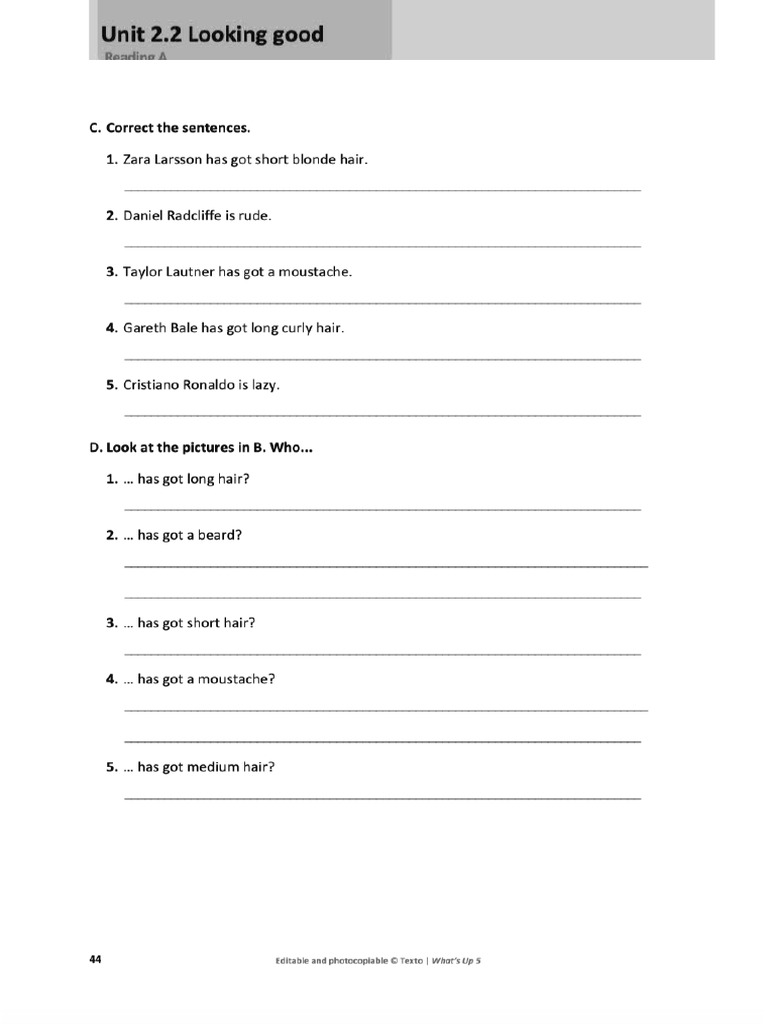 Personal Profile Writing Guide | PDF