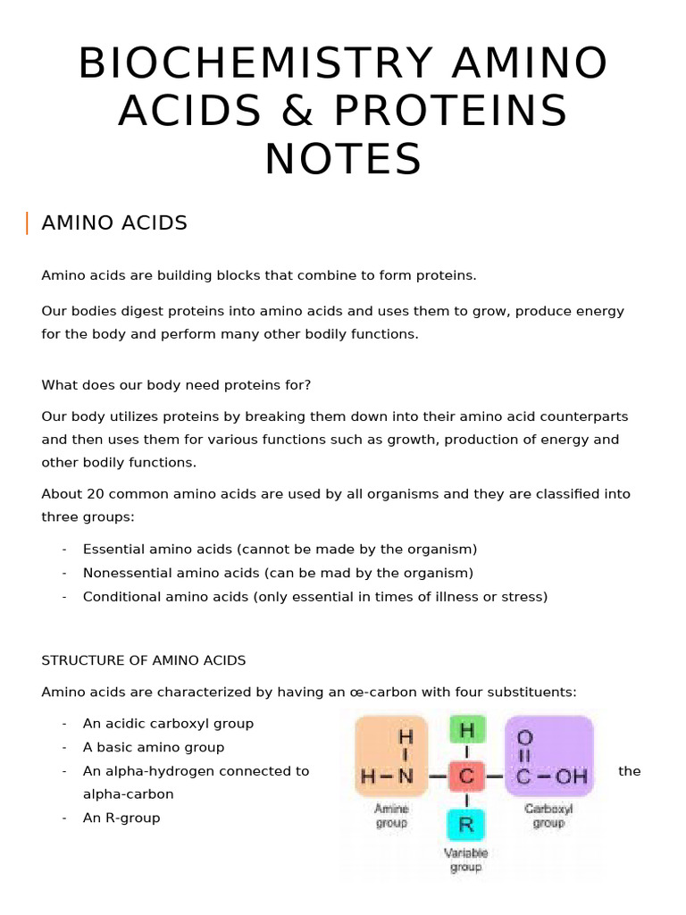 Amino Acids and Proteins Overview | PDF | Beta Sheet | Alpha Helix