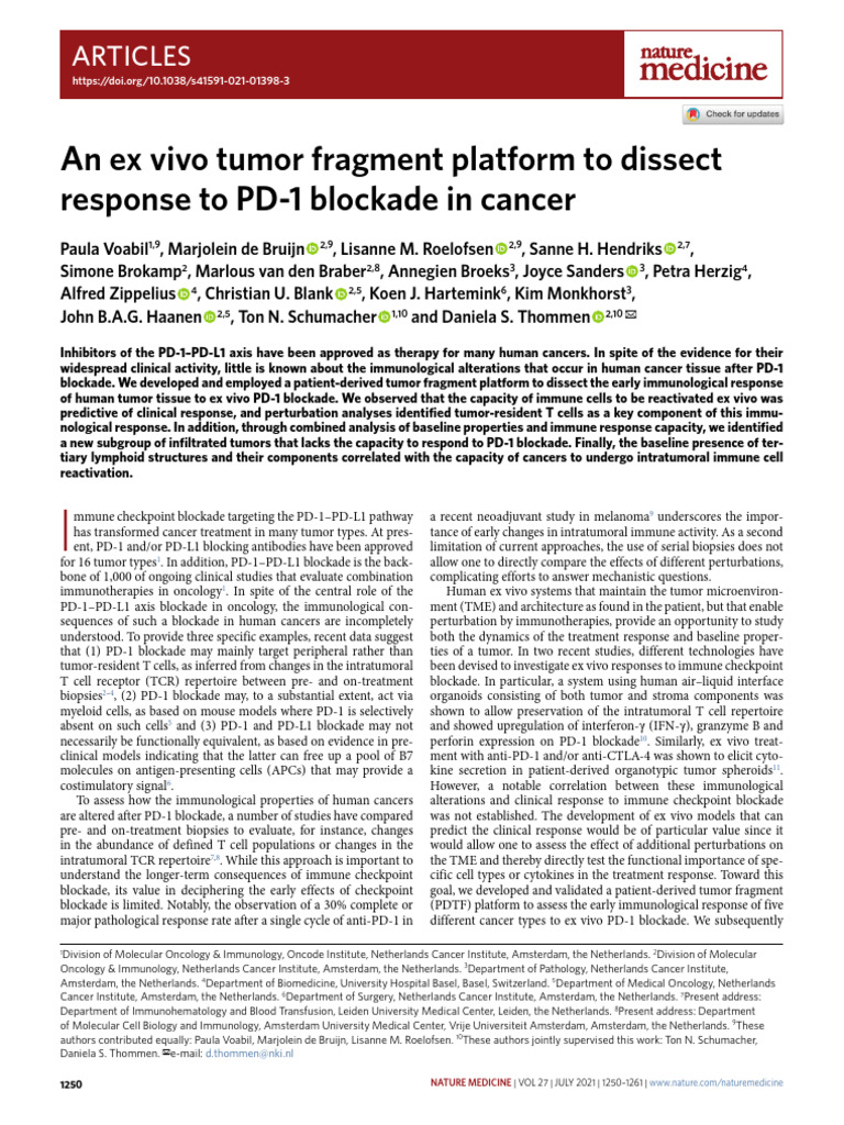 An Ex Vivo Tumor Fragment Platform To Dissect | PDF | Immunotherapy | T ...