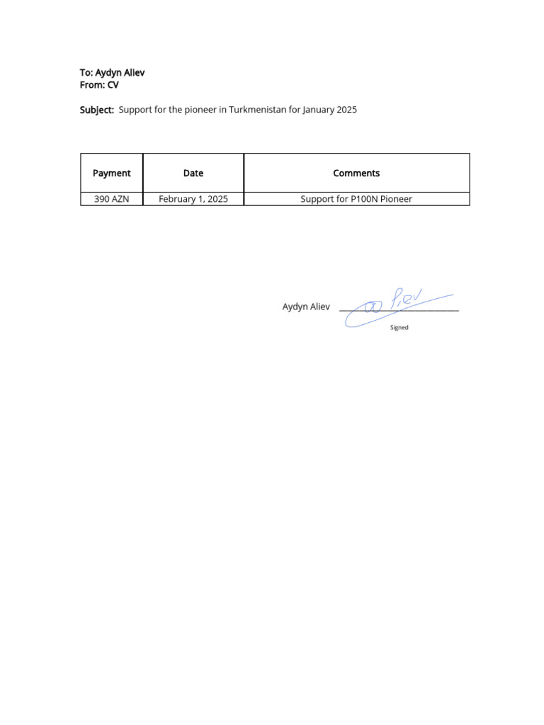 Support for P100N Pioneer Payment | PDF