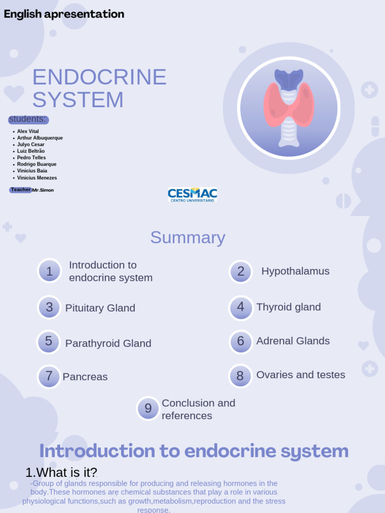 Overview of the Endocrine System | PDF | Endocrine System | Pituitary Gland