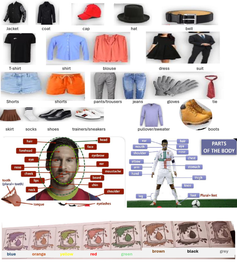 Clothes | PDF