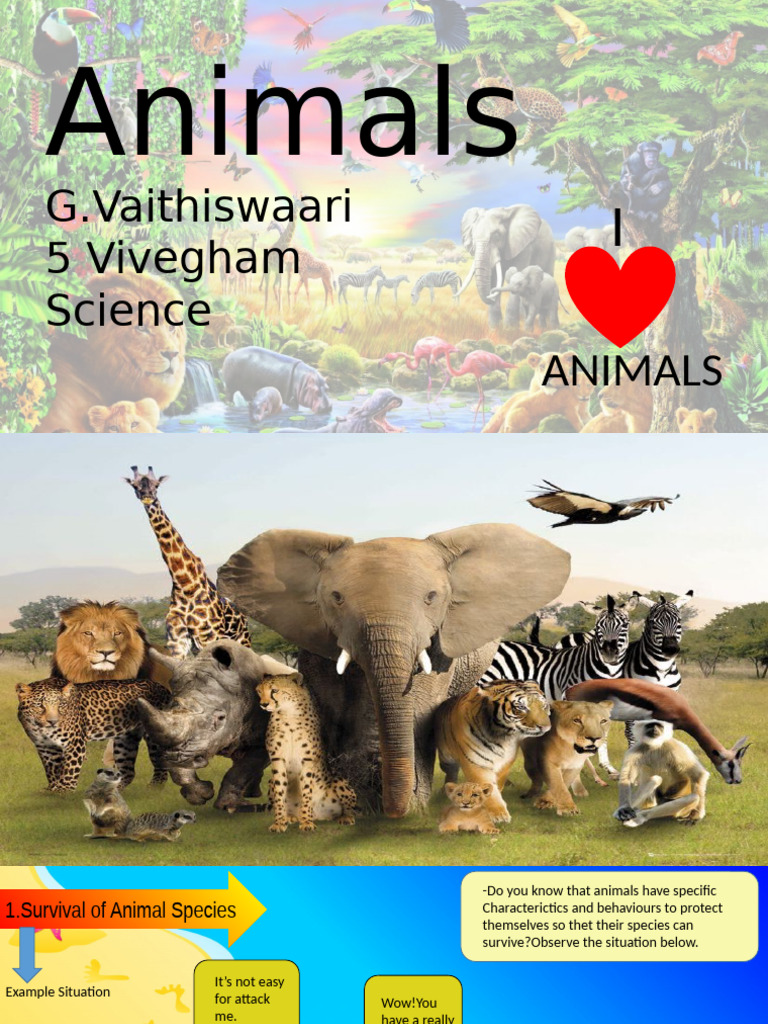 Animals | PDF | Desert | Egg