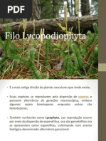 apresentação botânicasss