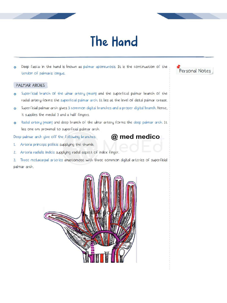 HAND | PDF