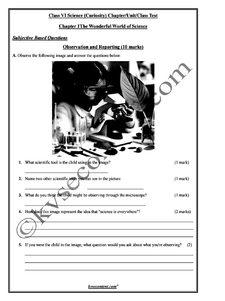 Science Class 6 | PDF