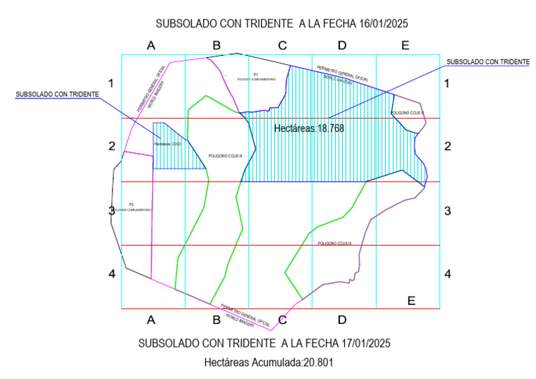 Subsolado Con Tridente 17.01.25 | PDF