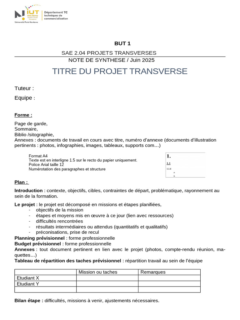 Synthèse Projet Transverse SAE 2.04 | PDF