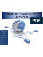 Liability of Network Service Providers