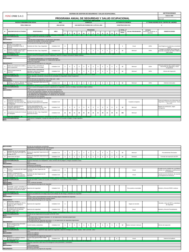 Programa Anual de Seguridad y Salud en El Trabajo 2018 | PDF ...