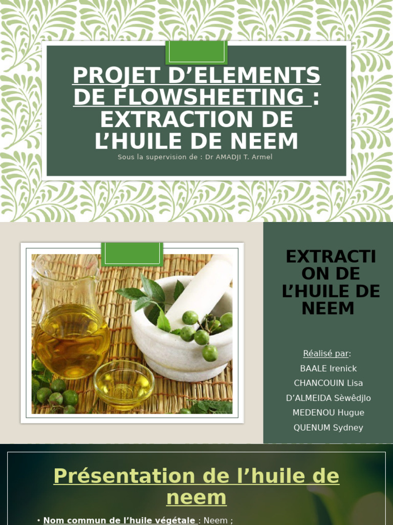 Extraction de l'huile de neem : Guide pratique | PDF