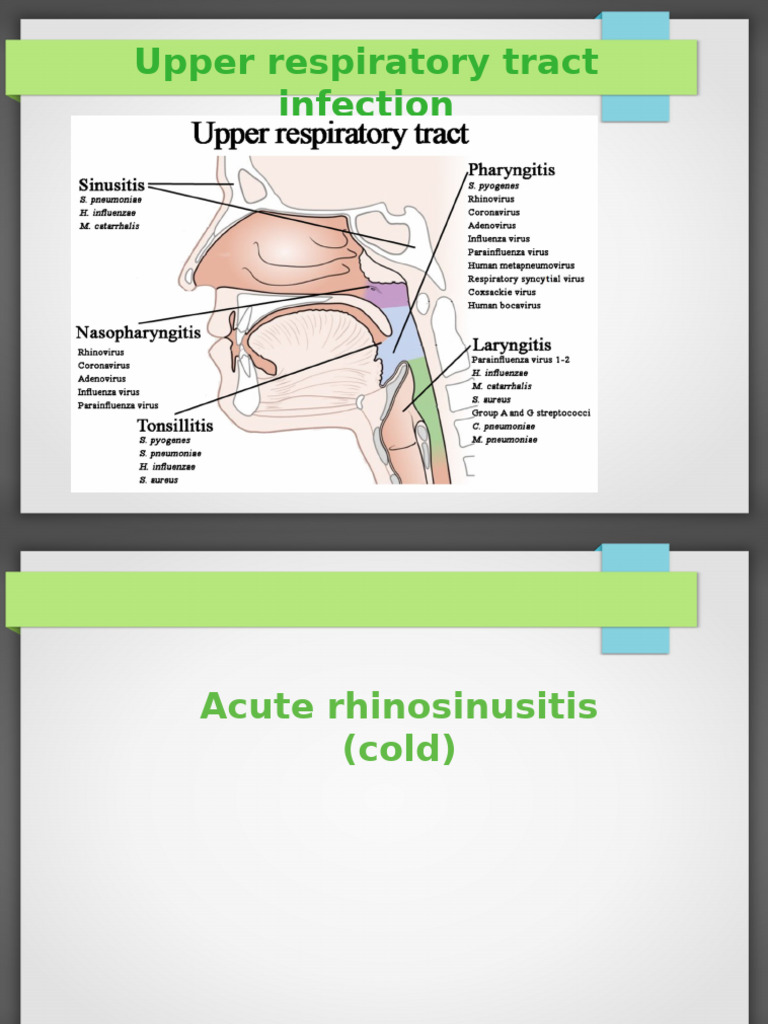 Acute Rhinosinusitis Overview and Treatment | PDF | Mucus | Immunology