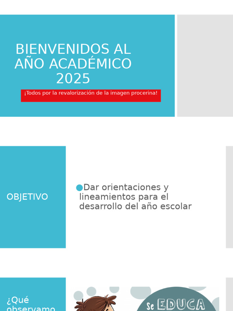Normas y Objetivos Año Escolar 2025 | PDF | Enseñando | Escuelas