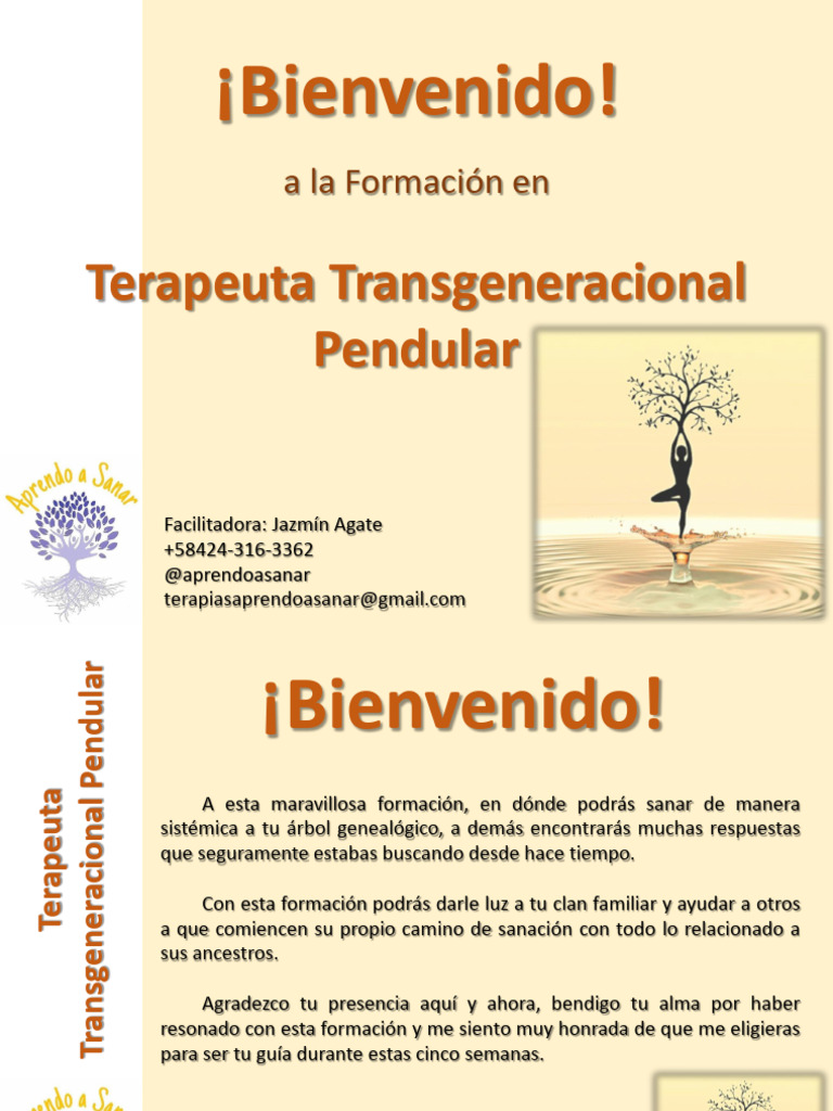 Formación en Terapia Transgeneracional | PDF