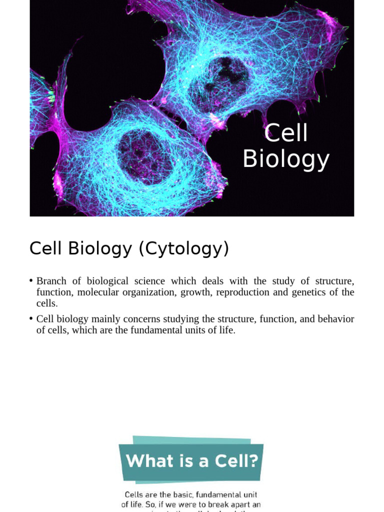 1.origin and Evolution of Life | PDF | Eukaryotes | Cell (Biology)
