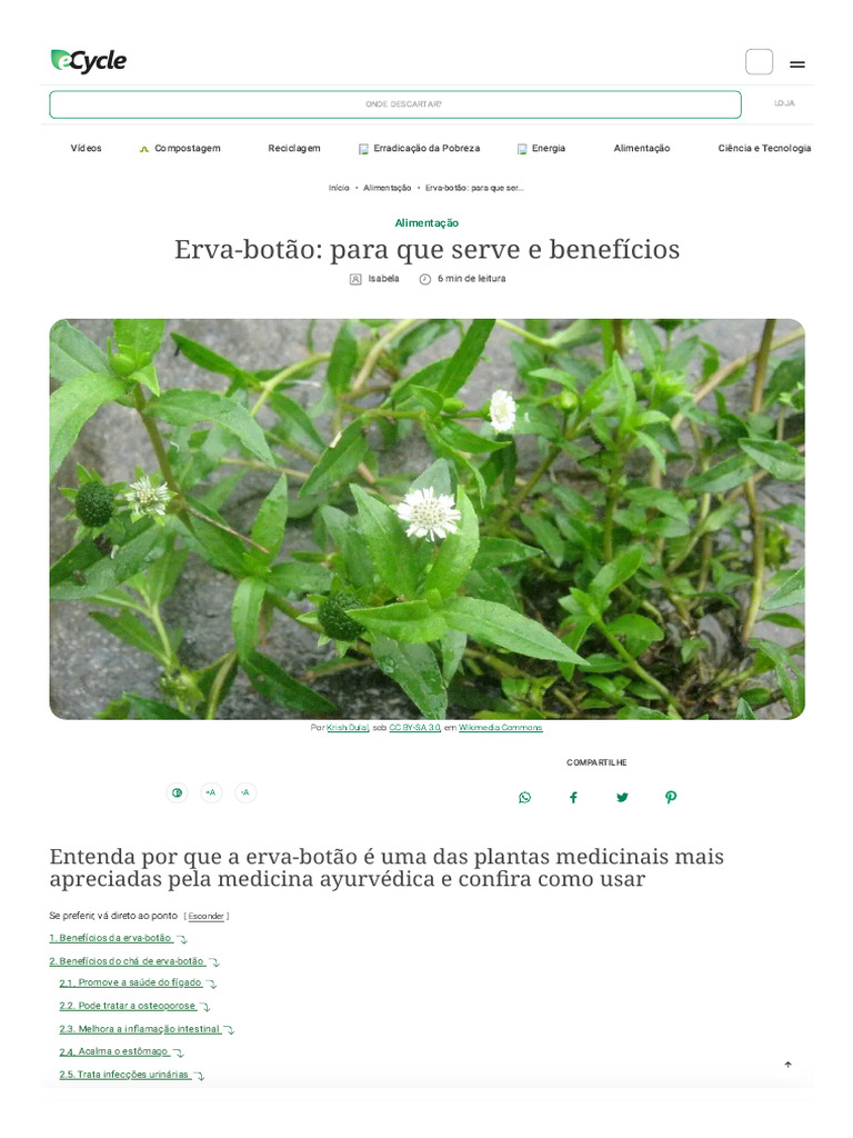 Benefícios da Erva-Botão e Usos | PDF | Vitamina