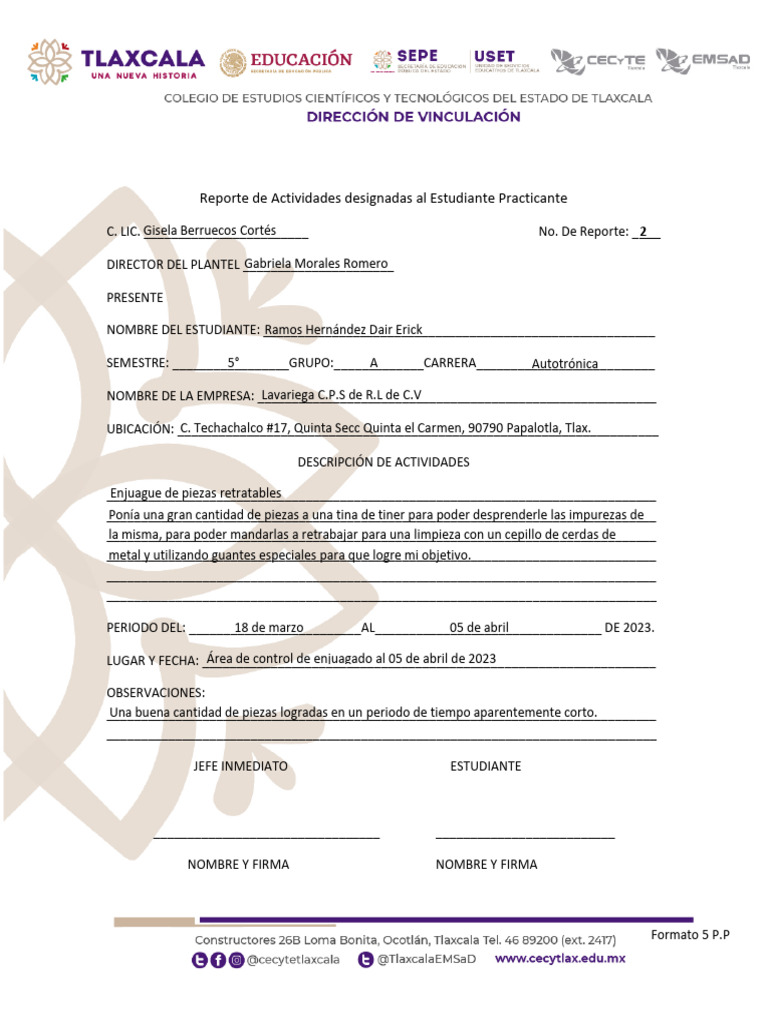 Reporte Dos 5 P.P | PDF