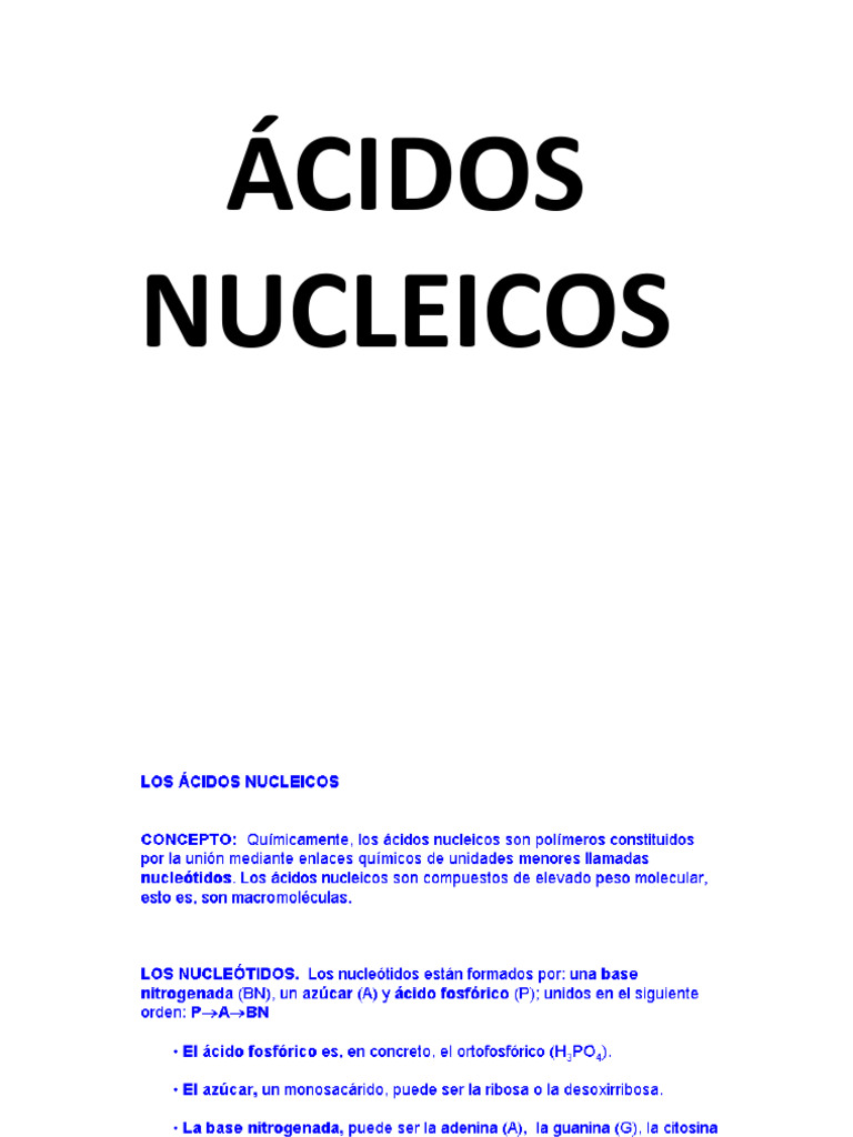 Estructura y Replicación de Ácidos Nucleicos | PDF | Adn | Replicación ...