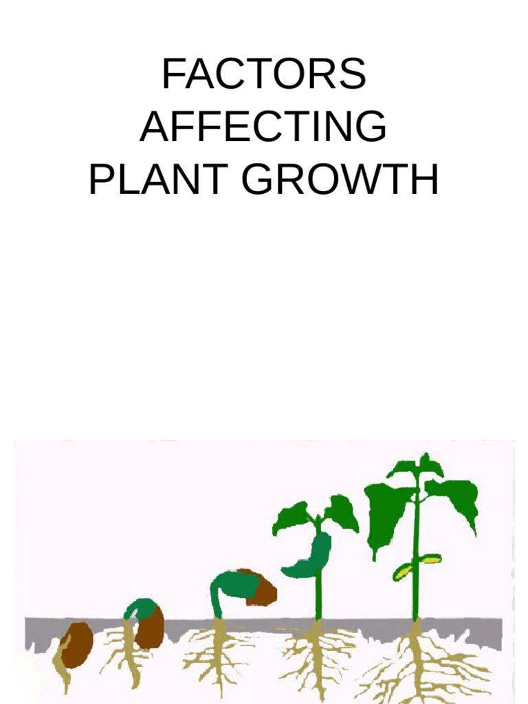 Factors Influencing Plant Growth | PDF | Plants | Carbon Dioxide