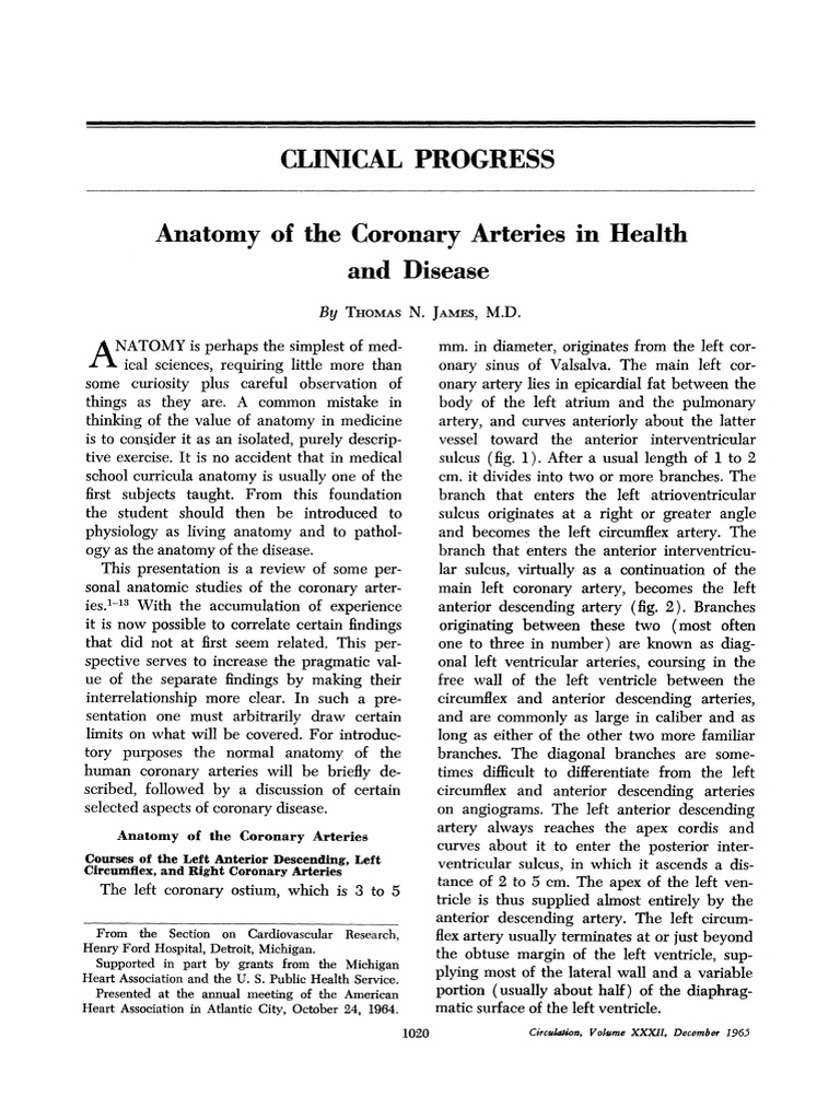 Anatomy of The Coronary Arteries in Health and Disease | PDF | Coronary ...