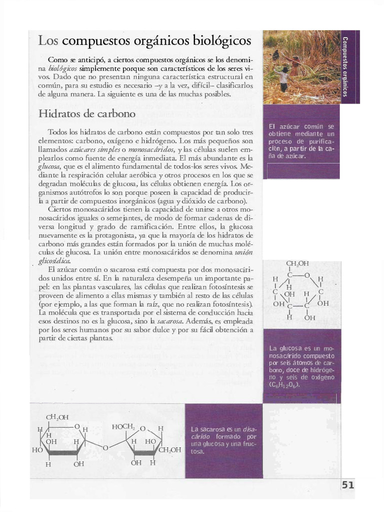 Biomolec Apunte 2 | PDF | Rna | Adn