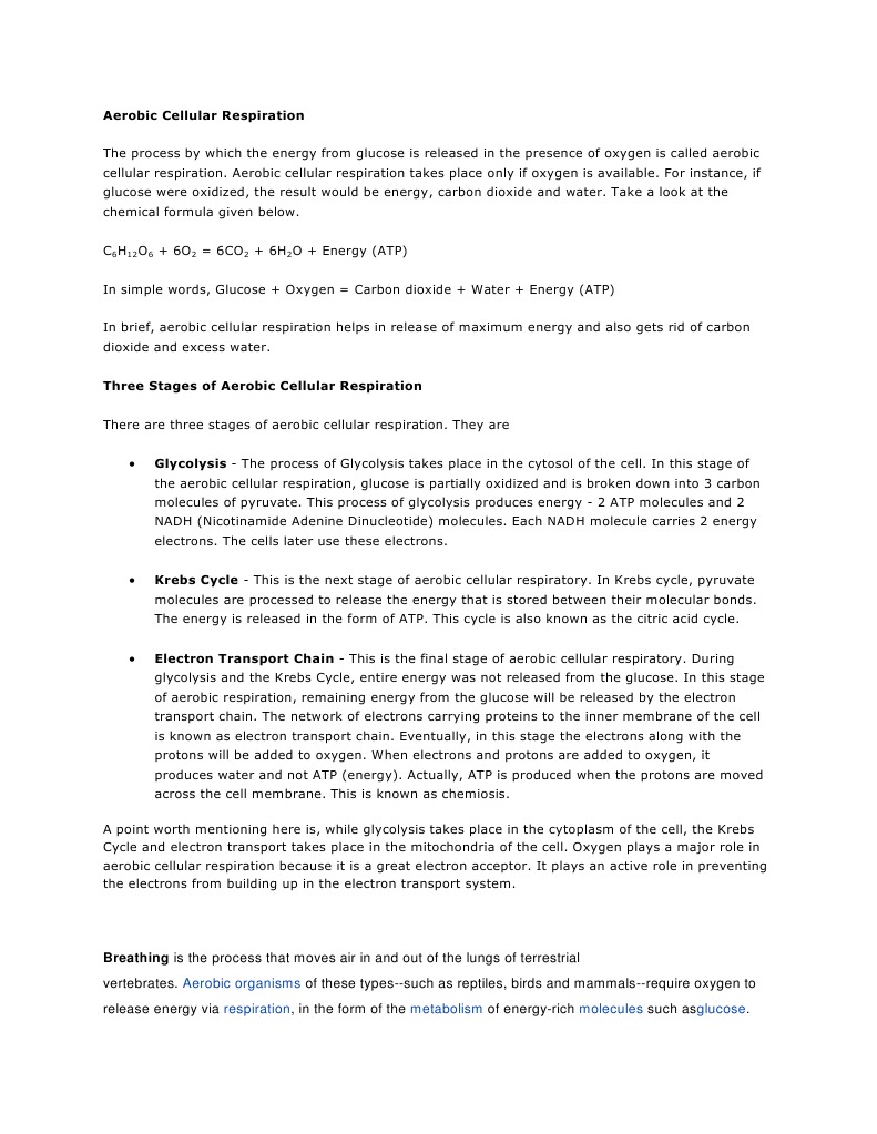 Understanding Aerobic Cellular Respiration | PDF | Cellular Respiration ...