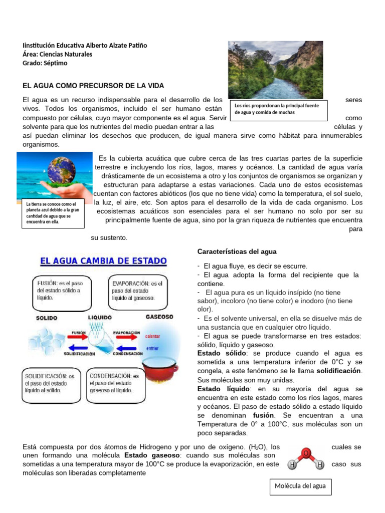 Actividad El Agua | PDF | Agua | Contaminación